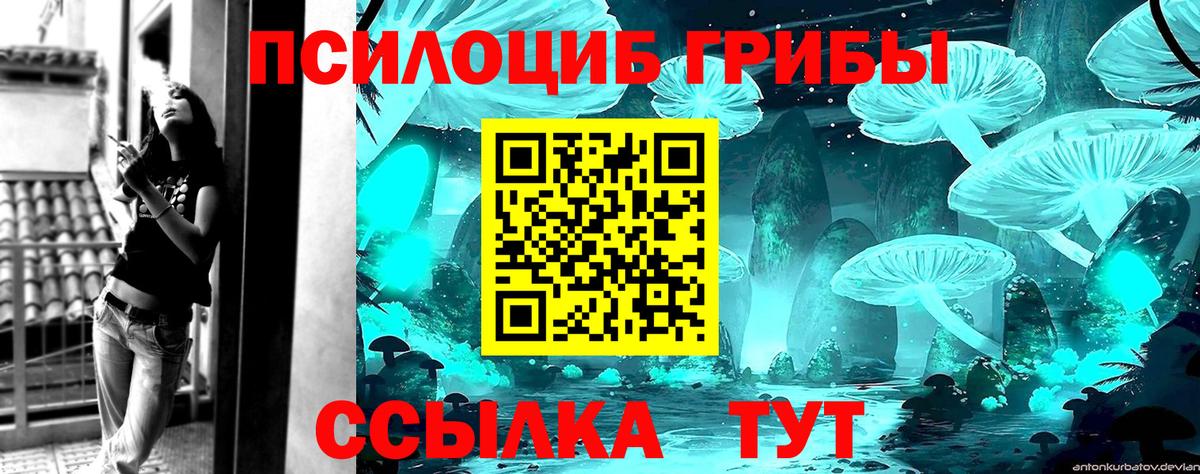 Галлюциногенные грибы GOLDEN TEACHER  Вход с VPN  Ставрополь  Галлюциногенные грибы MAGIC MUSHROOMS 